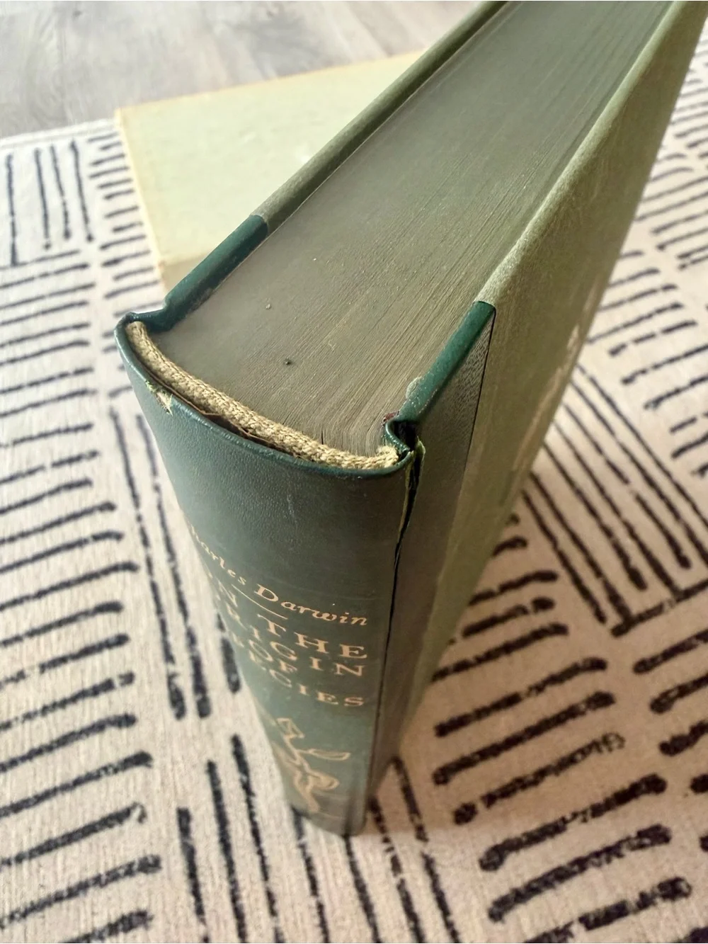 Vintage The Origin of Species by Charles Darwin